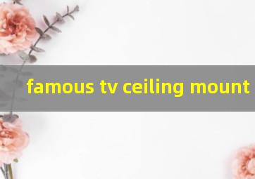 famous tv ceiling mount